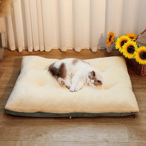 Tucker Murphy Pet™ BrandonLeigh Dog''s Kennel And Cat''s Kennel, Which